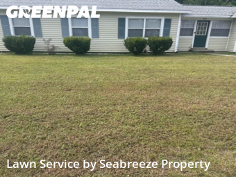 Lawn Management in Niceville, 32578, Garden Trimming by Seabreeze Property , work completed in Nov , 2025