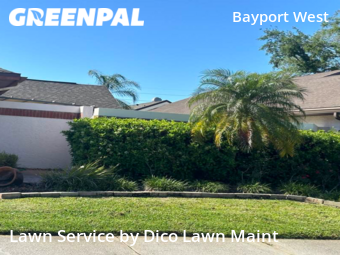 Lawn Care Service nearby Tampa, FL, 