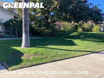 Work completed by grass-cutting-businesses-in-Lake Elsinore-CA
