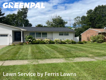 Lawn Mow nearby Lake View, NY, 