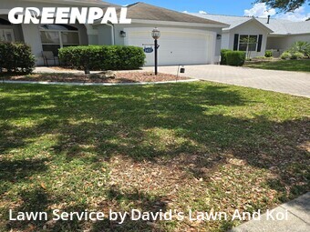 Lawn Mowing nearby The Villages, FL, 