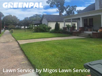 Lawn Mowing Servicein Marietta,30060,Grass Cutting by Migos Lawn Service, work completed in Nov , 2025