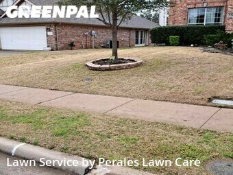 Grass Cutting nearby Mc Kinney, TX, 