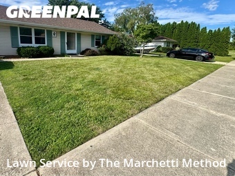 Lawn Care Service nearby Aurora, IL, 