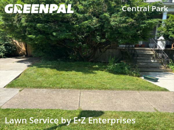 Grass Cut nearby Buffalo, NY, 