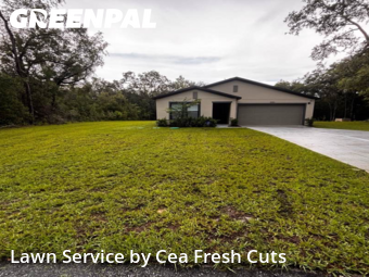 Yard Care Services in Citrus Springs, 34434, Weed Trimming by Cea Fresh Cuts, work completed in Nov , 2025