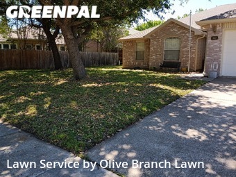 Grass Cut nearby Saginaw, TX, 