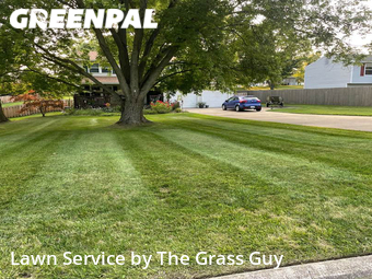 Lawn Mow nearby Medina, OH, 
