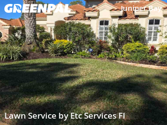 Yard Cuttingin Palm Harbor,34685,Lawn Care by Etc Services Fl, work completed in Feb , 2026