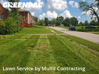 Lawn Care Service nearby Lexington, KY, 