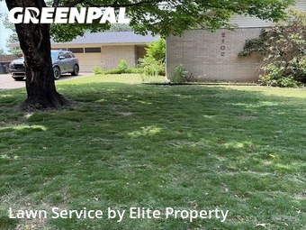 Lawn mowed in Springdale, 72762