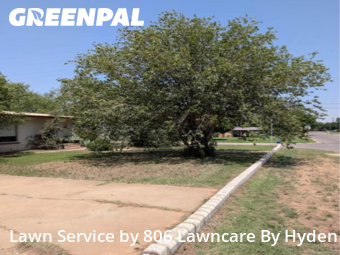 Grass Cutting nearby Lubbock, TX, 