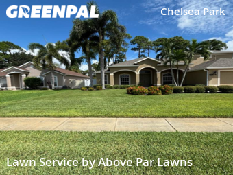 Grass Cut nearby Rockledge, FL, 