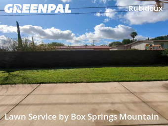 Lawn Cutting nearby Riverside, CA, 