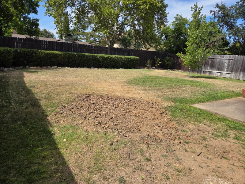 Lawn mowing work by Dst Landscaping in Davis, CA