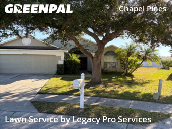 Grass Cut nearby Wesley Chapel, FL, 