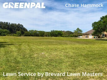 Lawn Cutting nearby Merritt Island, FL, 