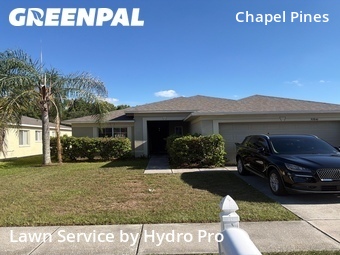 Lawn Cut nearby Wesley Chapel, FL, 