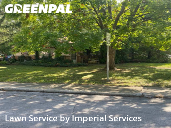 Lawn Mow nearby Park Forest, IL, 