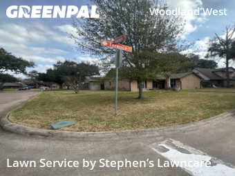 Grass Cuttingin Stafford,77477,Lawn Cut by Stephen’s Lawncare, work completed in Jul , 2026