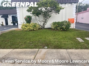 Lawn Mowing nearby St. Petersburg, FL, 