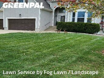 Grass Cut nearby Overland Park, KS, 