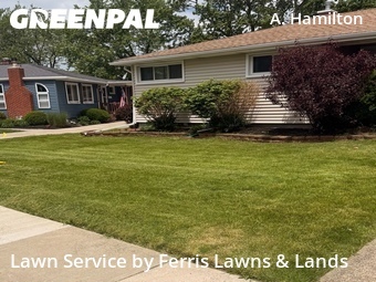 Lawn Mow nearby Tonawanda, NY, 