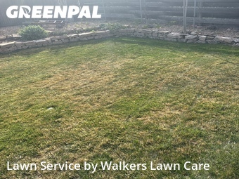 Lawn Mowing Service nearby Colorado Springs, CO, 