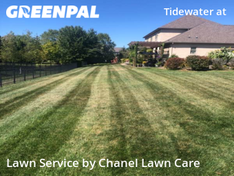 Lawn Care nearby New Albany, OH, 