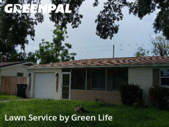 Lawn Mow nearby St. Petersburg, FL, 