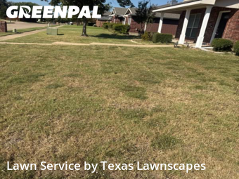 Yard Management in Murphy, 75094, Turf Services by Texas Lawnscapes, work completed in Oct , 2025