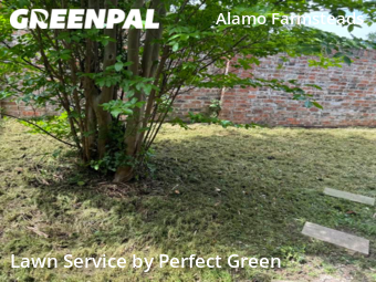 Lawn Mow nearby San Antonio, TX, 