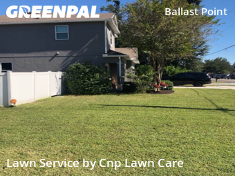 Lawn Cuttingin Tampa,33611,Lawn Mowing Service by Cnp Lawn Care, work completed in Nov , 2025
