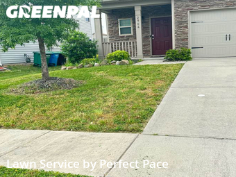 Lawn Mow nearby Charlotte, NC, 