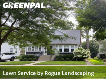 Lawn Care Servicein Elmhurst,60126,Yard Mowing by Rogue Landscaping, work completed in Nov , 2025
