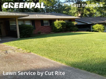 Yard Mowing nearby Memphis, AR, 