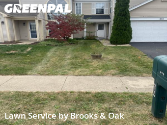Lawn Care nearby Carol Stream, IL, 