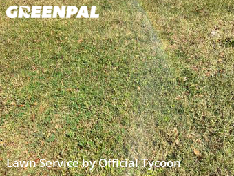 Lawn Care Service nearby Palm Coast, FL, 