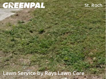 Grass Cut nearby New Orleans, LA, 