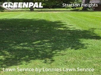 Backyard Landscaping In Madison,37115,Landscaping Maintenance by Lonnies Lawn Service, work completed in Jul , 2026
