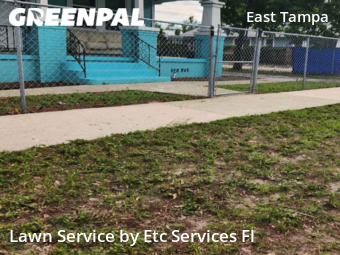 Lawn Care nearby Tampa, FL, 