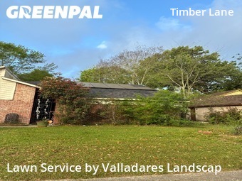 Lawn Mowing nearby Spring, TX, 