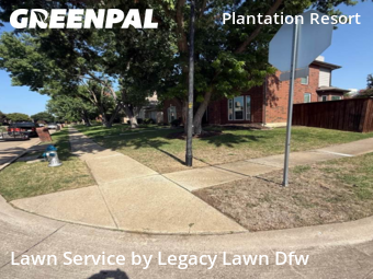 Lawn Maintenance nearby Frisco, TX, 