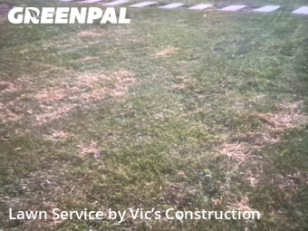 Lawn Cutting nearby Joliet, IL, 