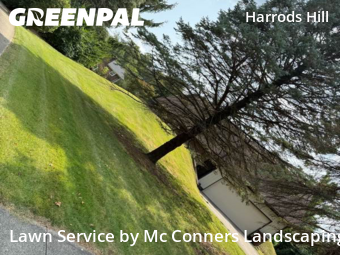 Lawn Care nearby Lexington, KY, 
