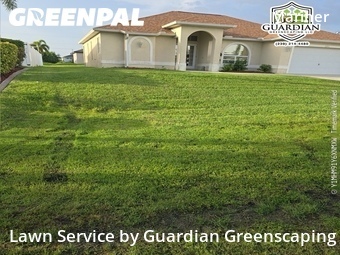 Lawn mowed in Cape Coral, 33993