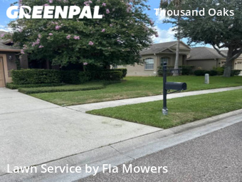 Grass Cut nearby Trinity, FL, 