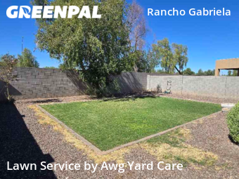 Grass Cut nearby Surprise, AZ, 