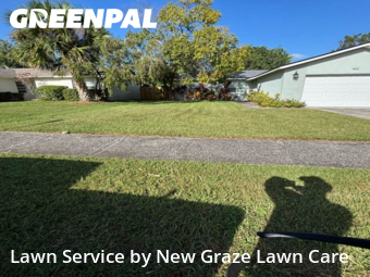 Grass Cuttingin Dunedin,34698,Lawn Maintenance by New Graze Lawn Care , work completed in Nov , 2025