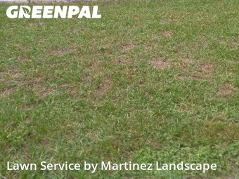 Lawn Care Service nearby Leesburg, FL, 
